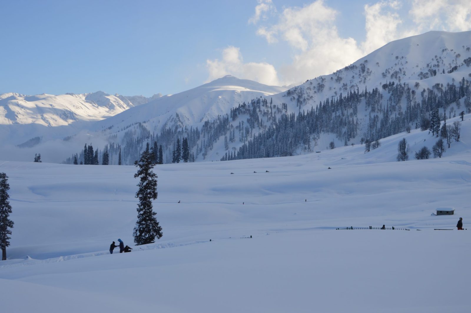 Fresh Snowfall Brings Temperatures Down Sharply in Kashmir